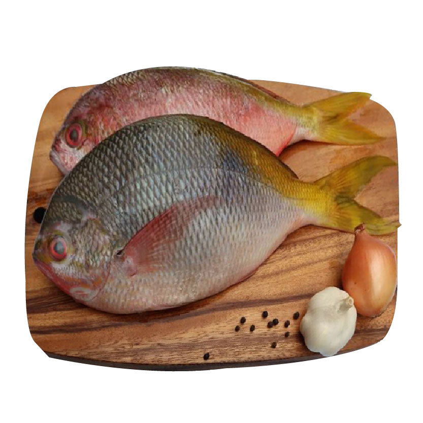 SMI Fish Dalagang Bukid Lapad Approximate 1kg
