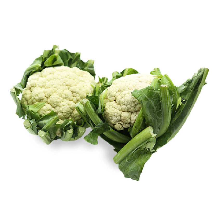Global Fresh Baguio Cauliflower White 480-500g