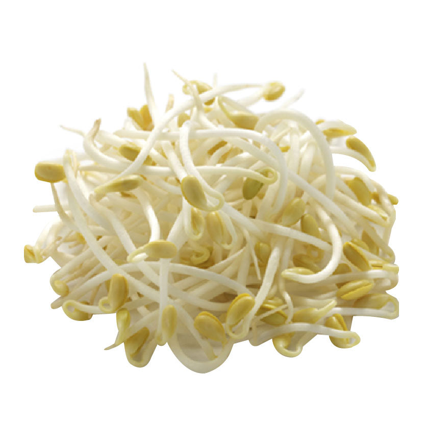 Global Fresh Togue Bean Sprout Long 480-500g
