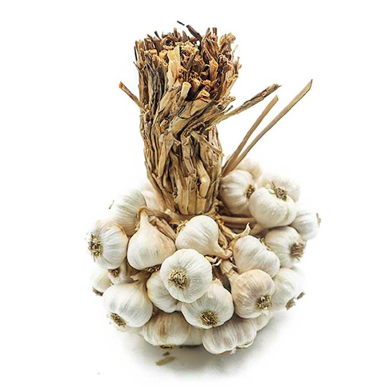 Global Fresh Garlic Native Ilocos Loose 250g