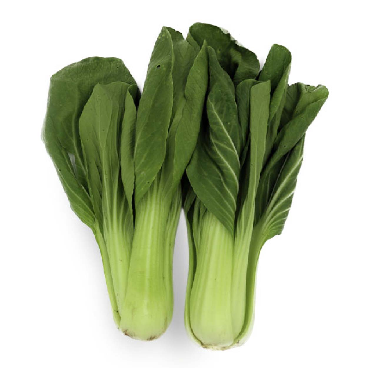 Global Fresh Pechay Taiwan Chingkang 250g