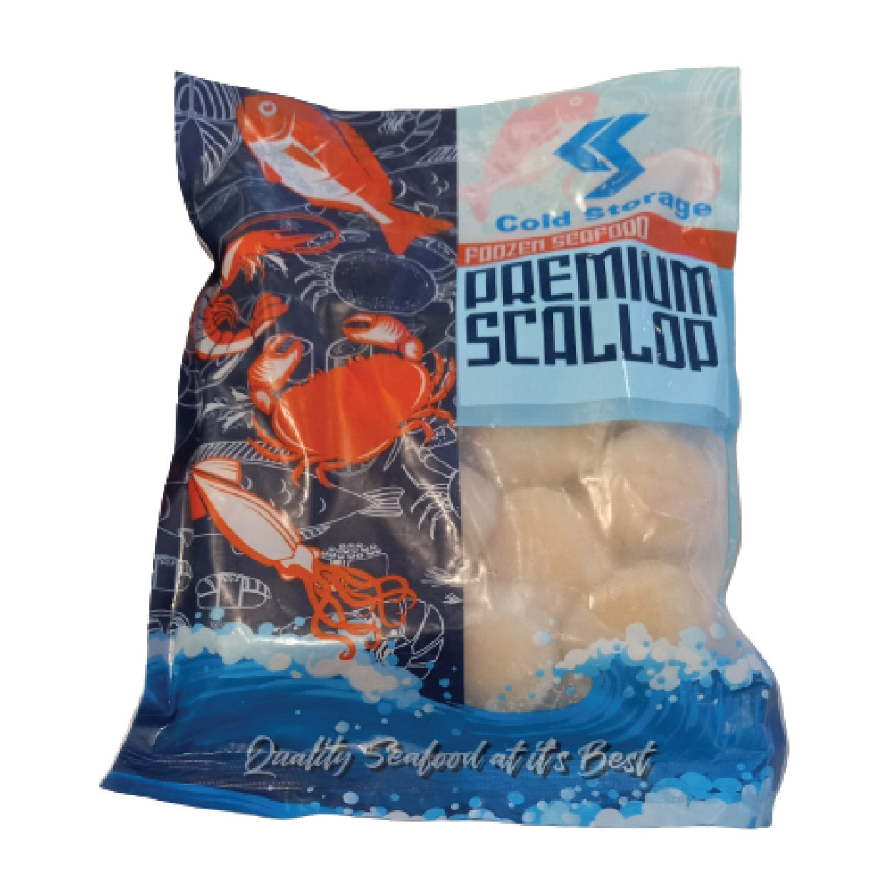 Cold Storage Frozen Seafood Premium US Scallop 500g