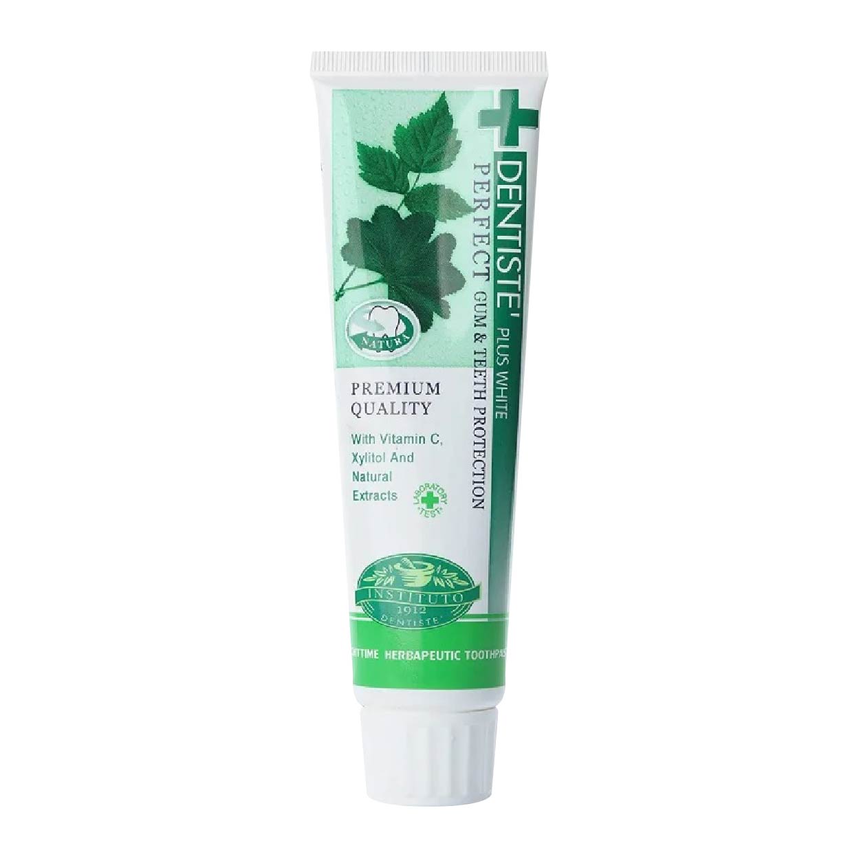 Dentiste Plus White Perfect Gum & Teeth Protection Toothpaste100g