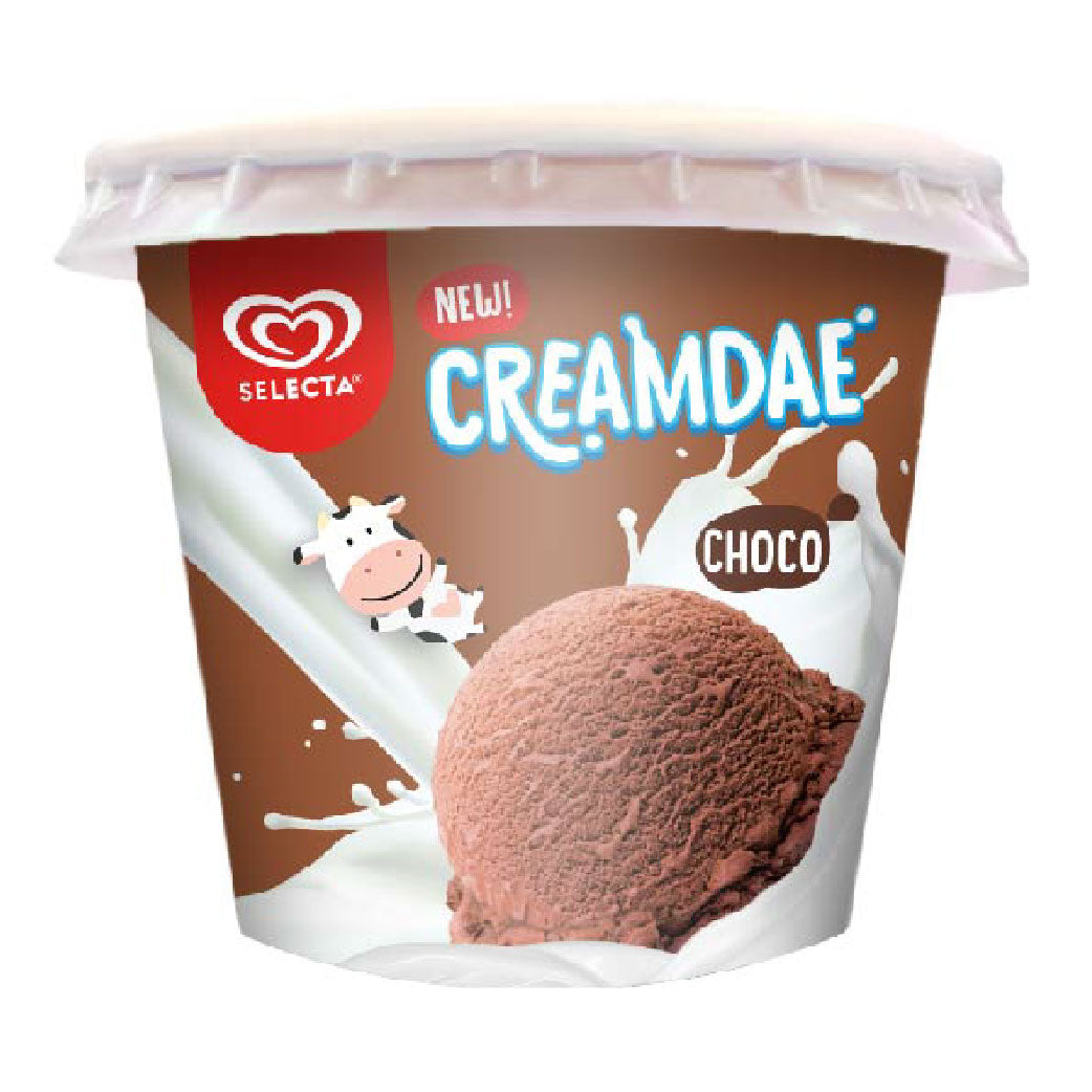 Selecta Choco Ice Cream Cup 100ml – Ever Supermarket