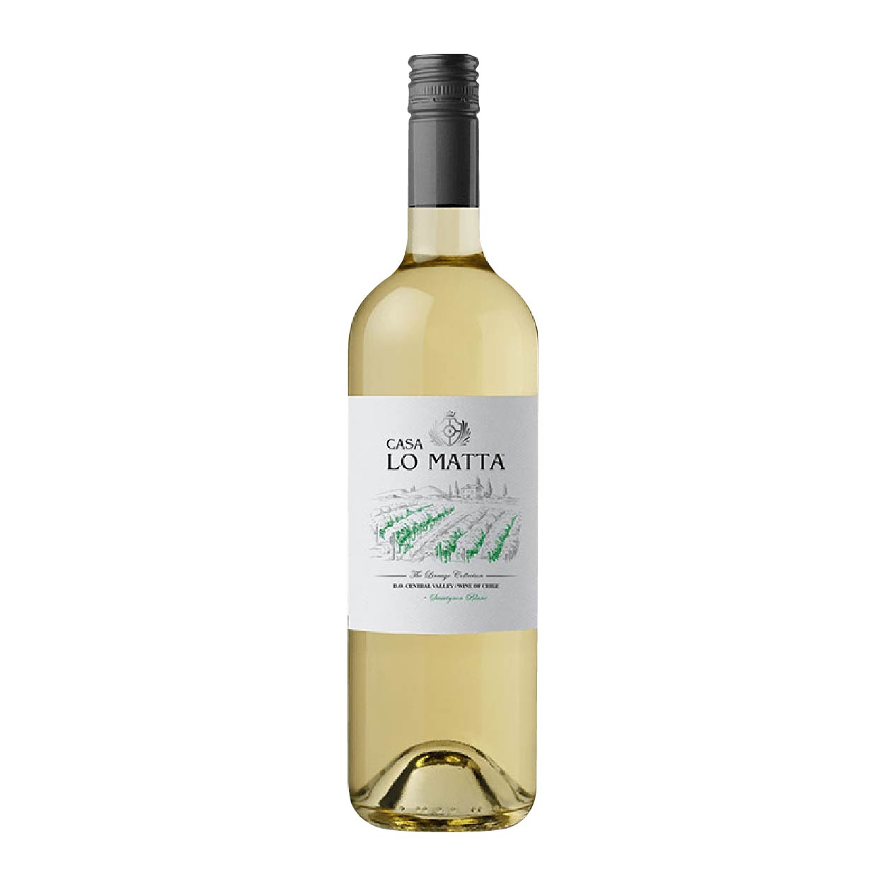 Casa Lo Matta Sauvignon Blanc 750ml
