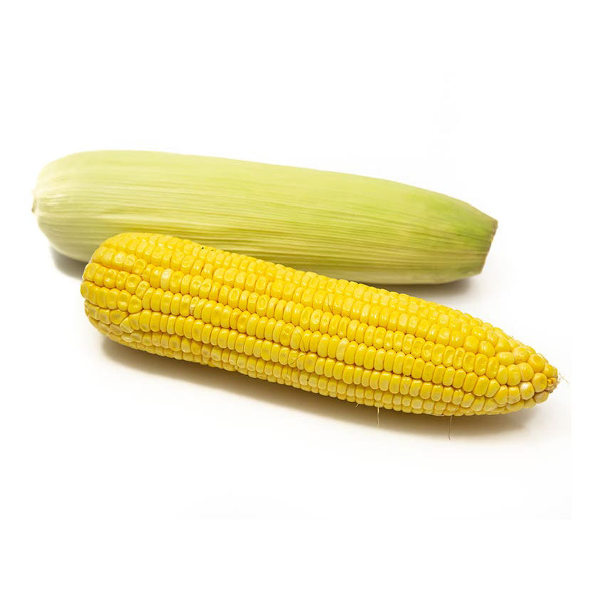 Dizon Japanese Sweet Corn