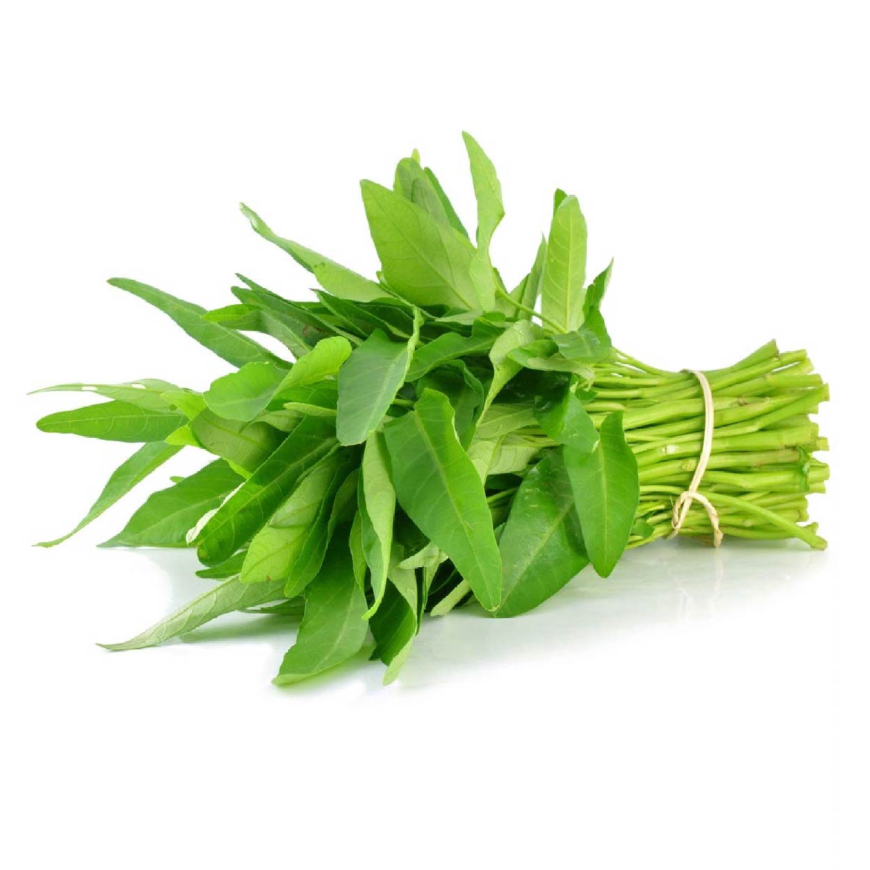 Global Fresh Kangkong Bundle
