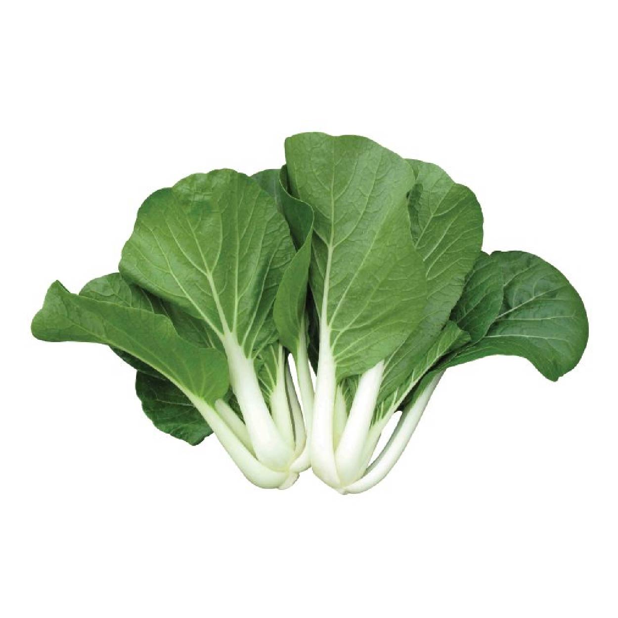 Global Fresh Native Pechay 250g