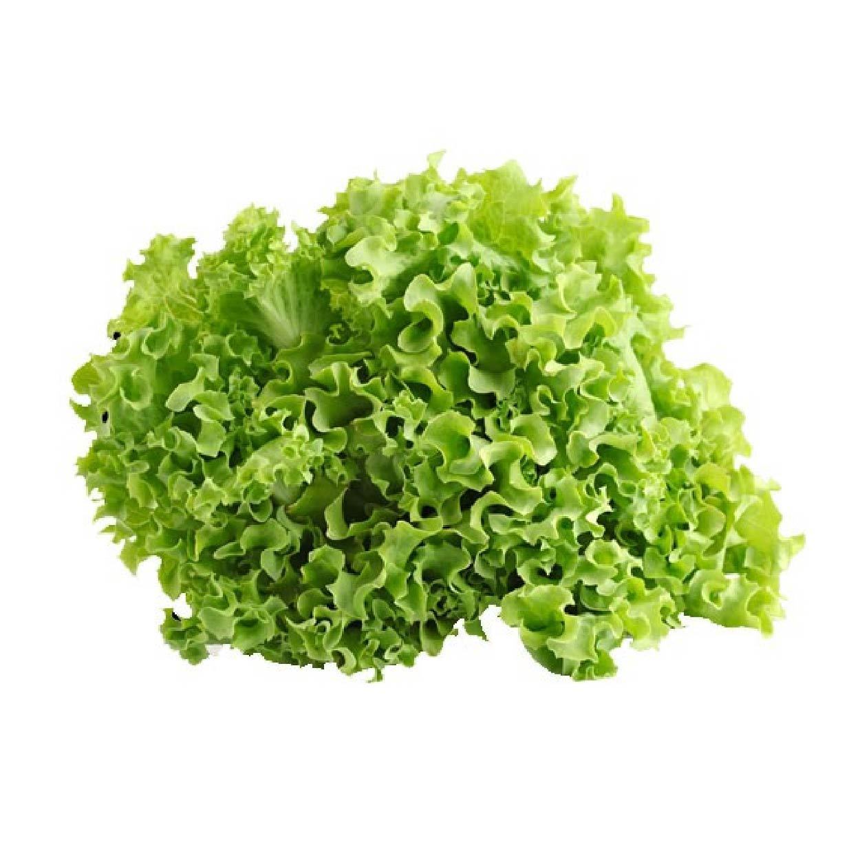 Sydarb Lettuce Green Ice 250g