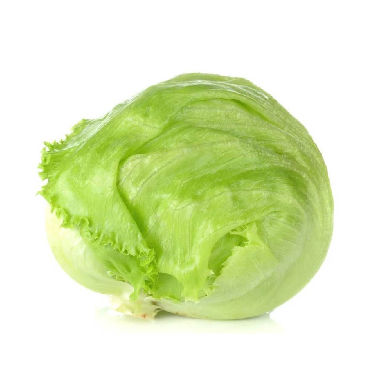 Sydarb Lettuce Iceberg 250g