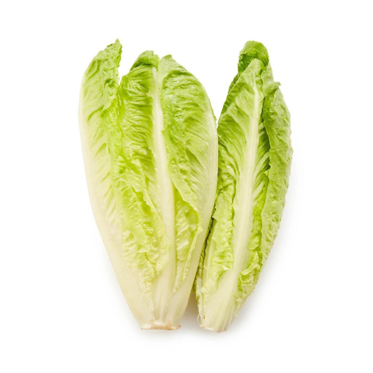 Sydarb Lettuce Romaine 250g