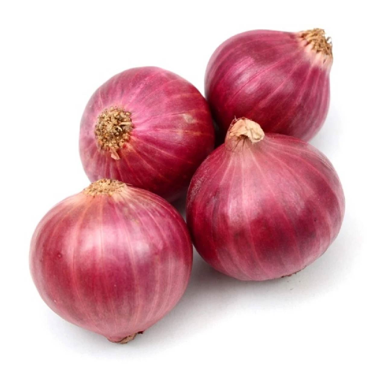 Sydarb Onion Red 250g