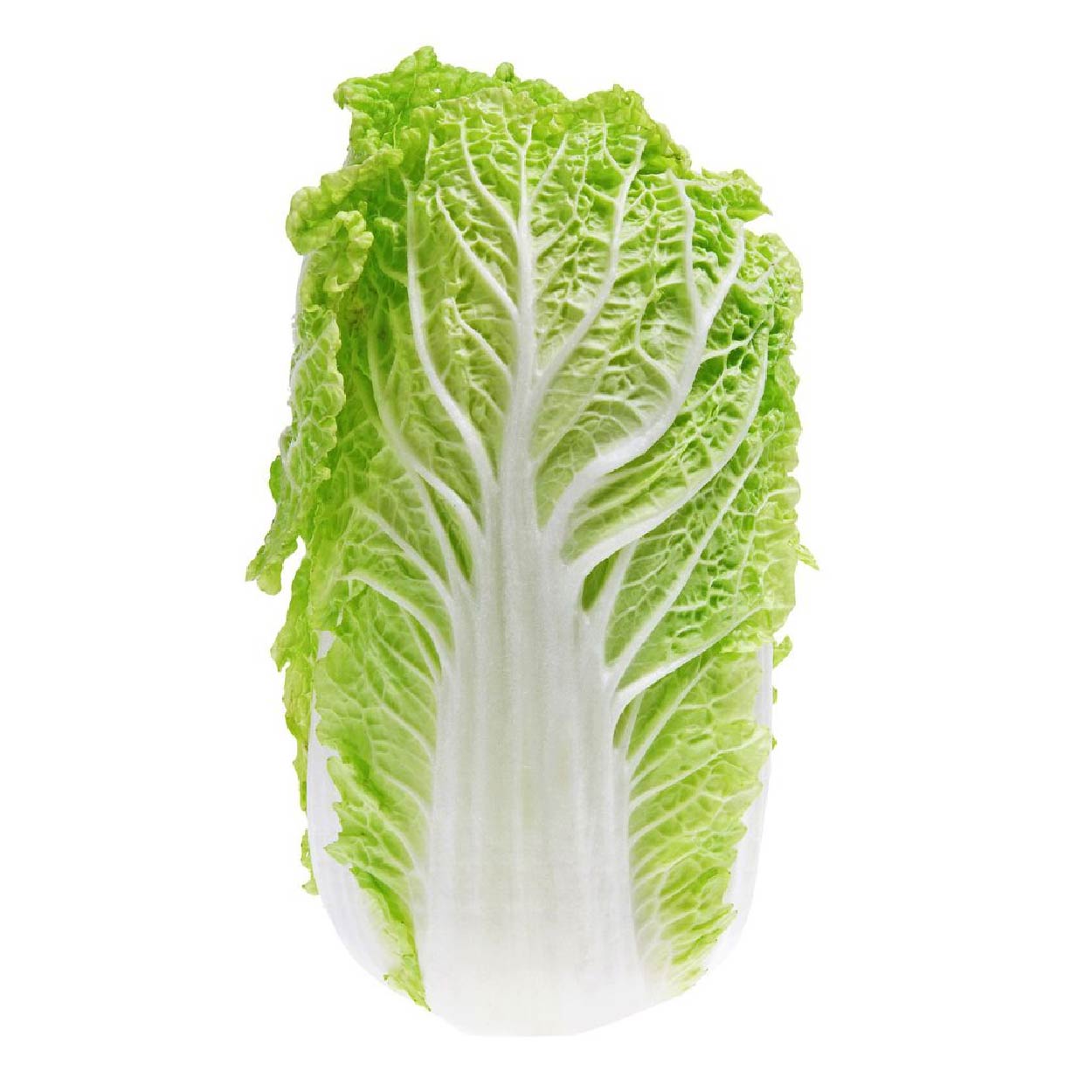 Sydarb Pechay Baguio 250g