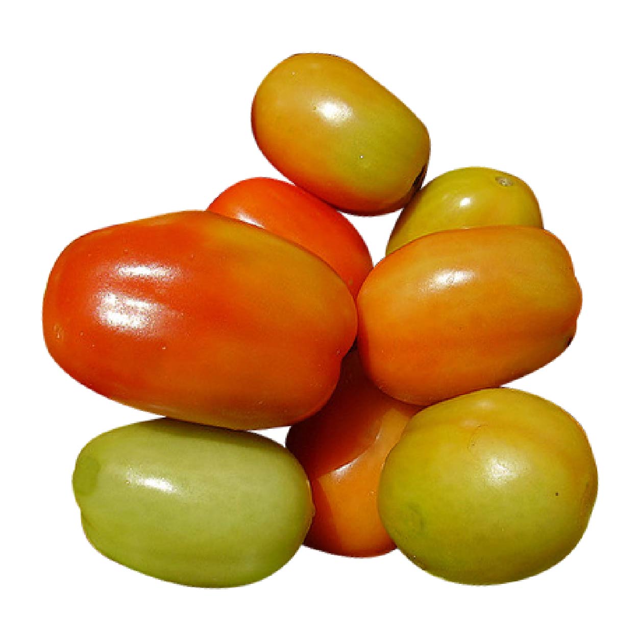 Sydarb Tomato Native 250g