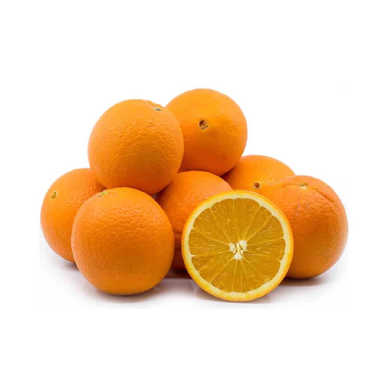 Sydarb Navel Orange #56 500g