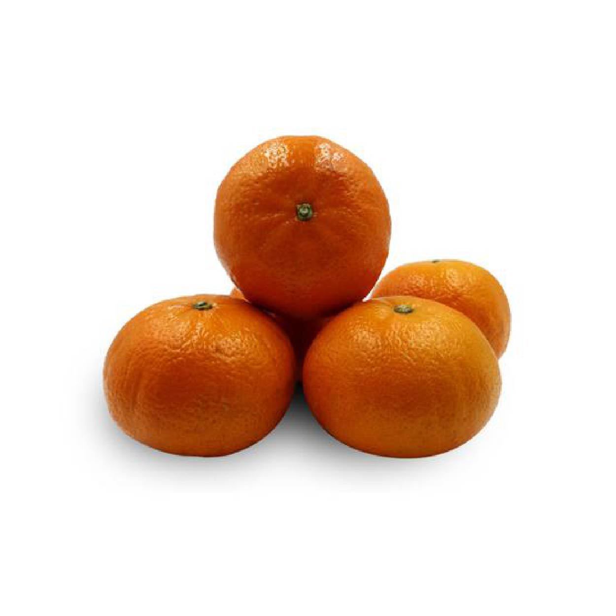 Sydarb Ponkan #60 500g
