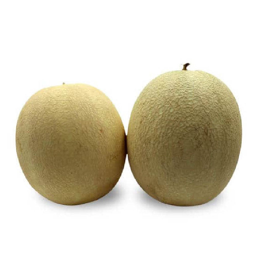 Dizon Melon Honey 900g-1.5kgs