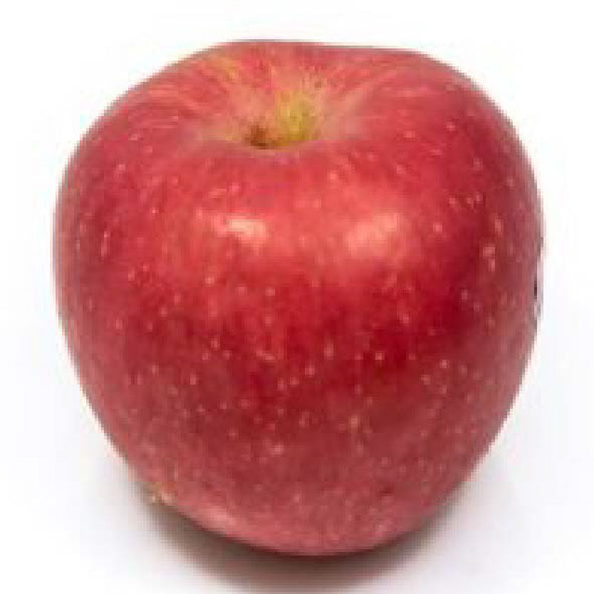 Dizon China Apple Medium Per Piece