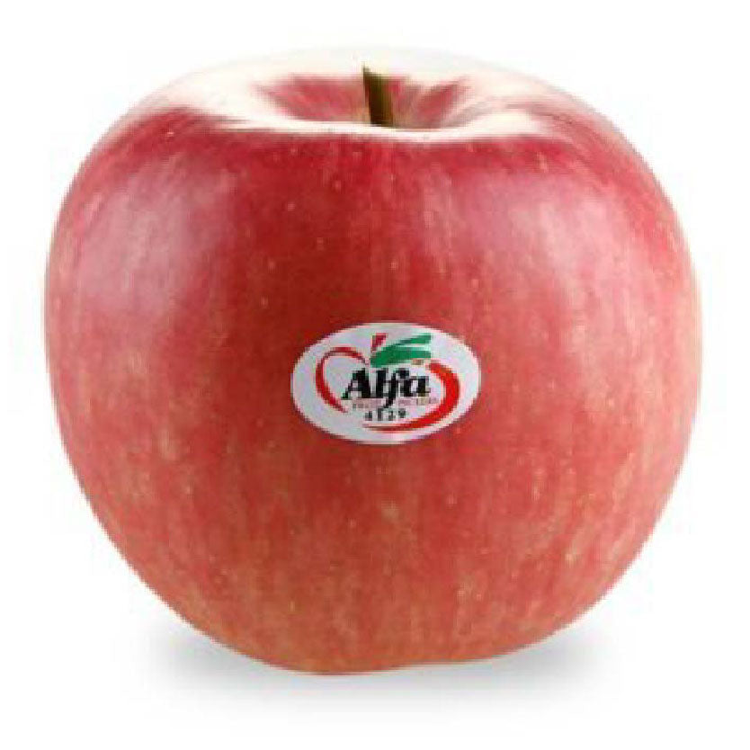 Dizon Fuji Apple Medium Per Piece