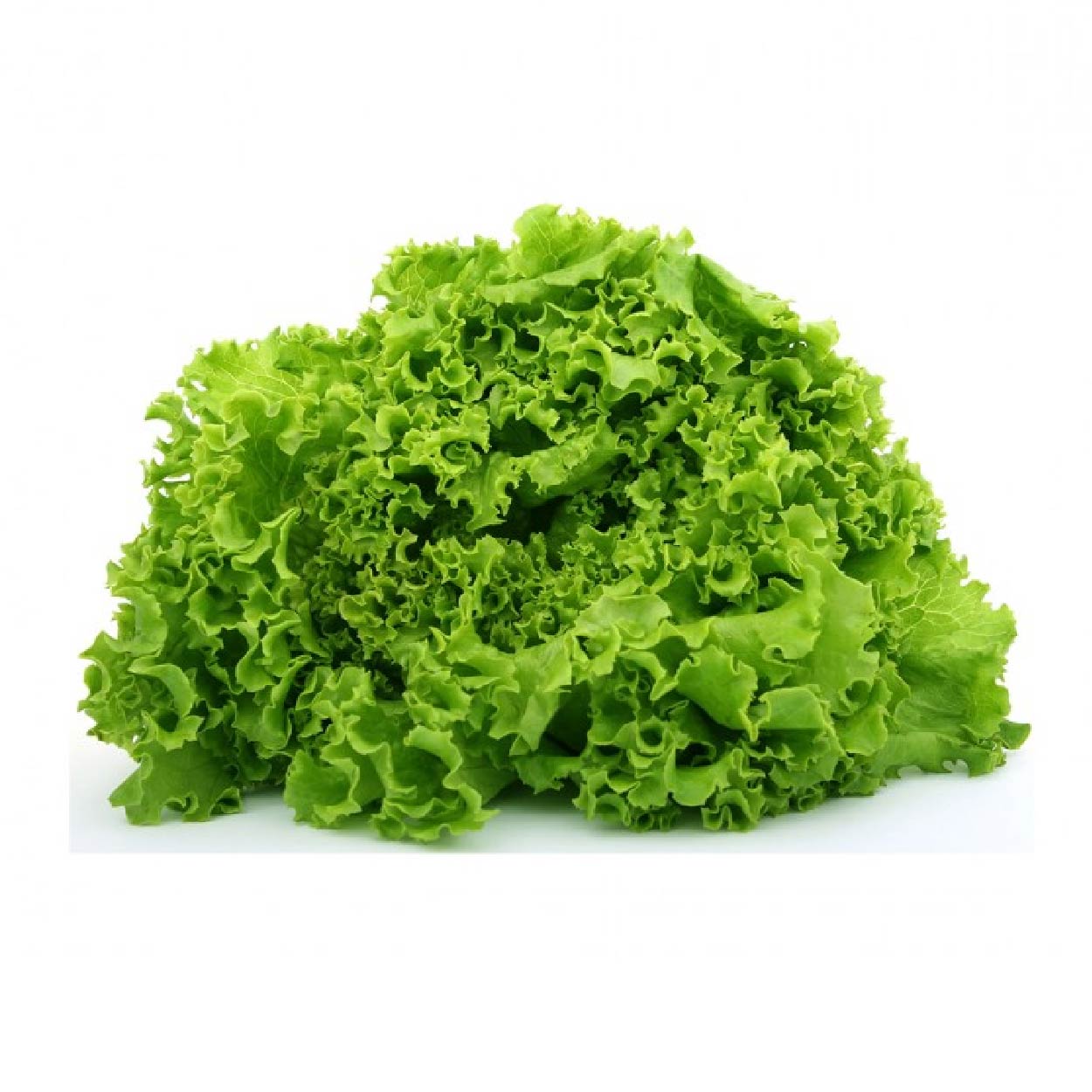 Global Fresh Lettuce Green Ice 500g