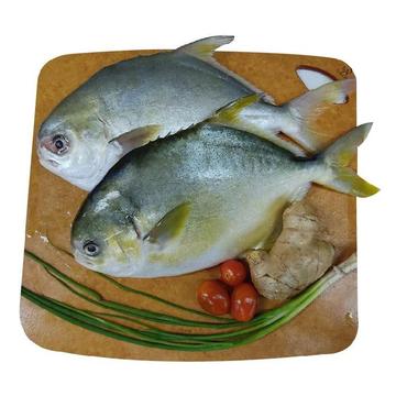 SMI Fish Pampano White Approximate 1kg