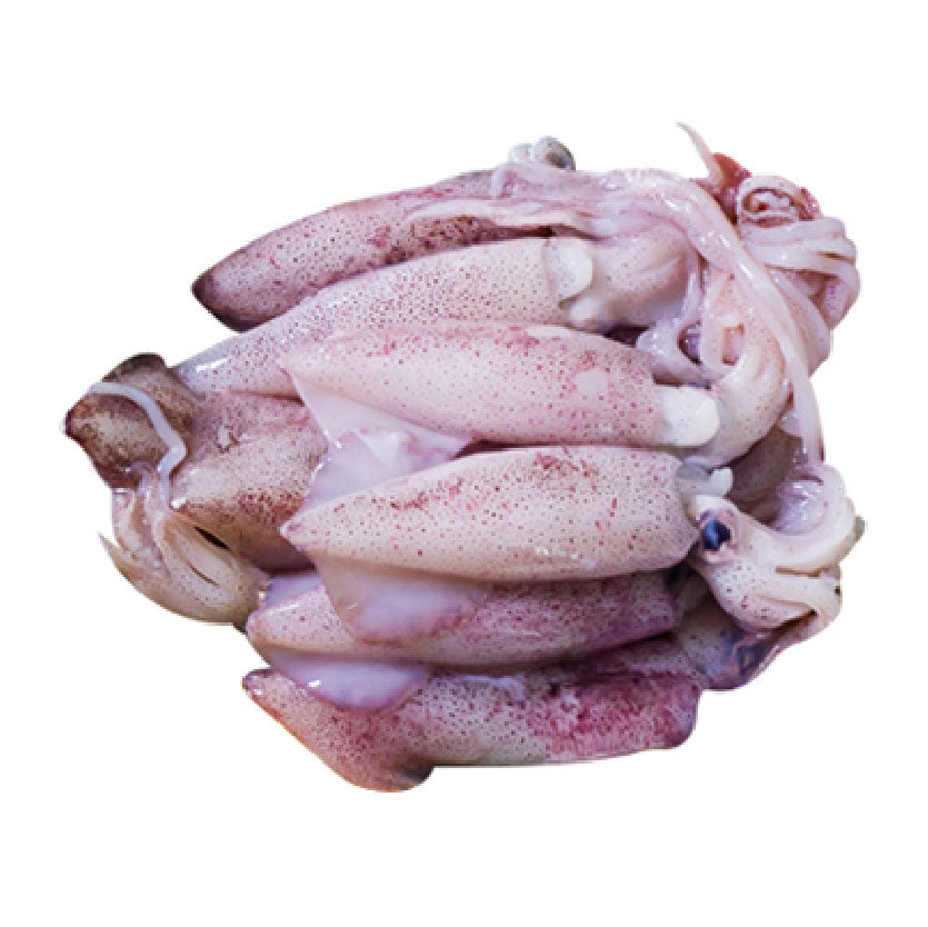 SMI Pusit Bisaya Approximate 1kg