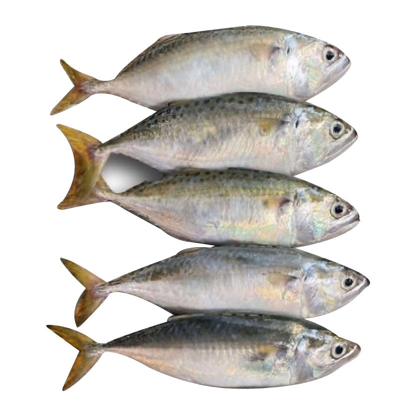 SMI Fish Hasa-Hasa Approximate 1kg