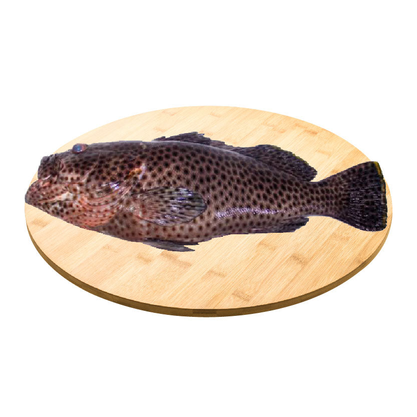 SMI Fish Lapu Lapu Black Approximate 1kg