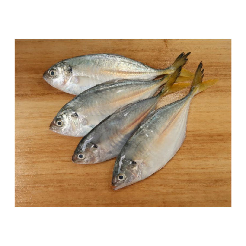 SMI Fish Salay Salay Approximate 1kg