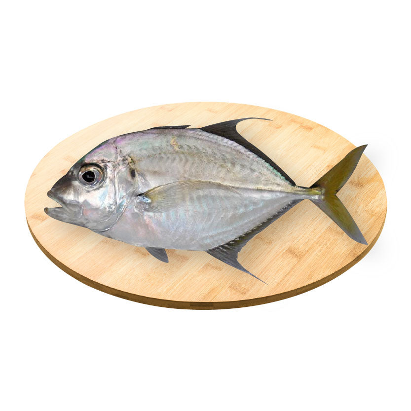 SMI Fish Talakitok Approximate 1kg