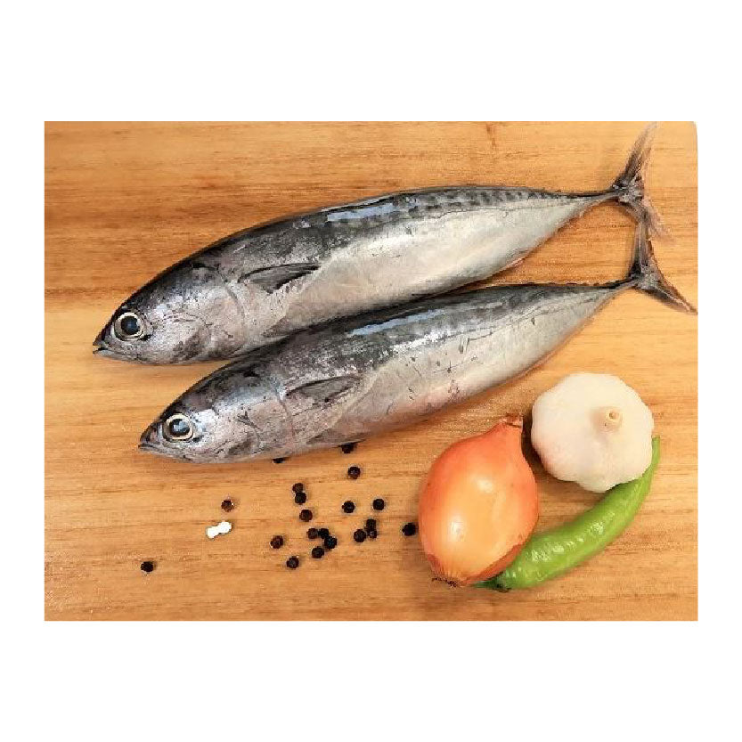 SMI Fish Tulingan Approximate 1kg