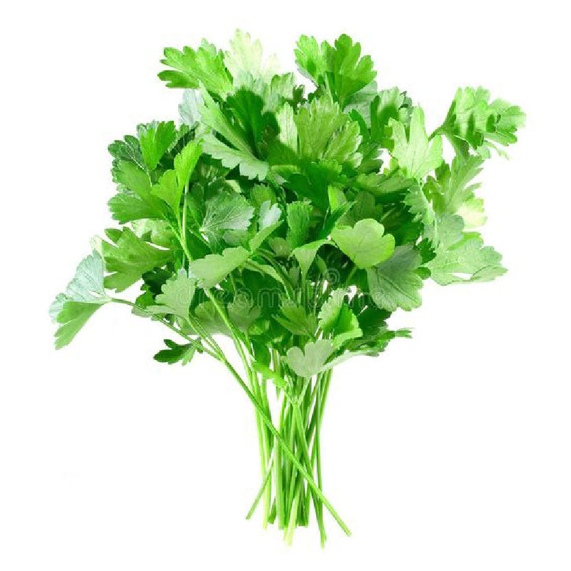 Yesha Parsley 45g-50g