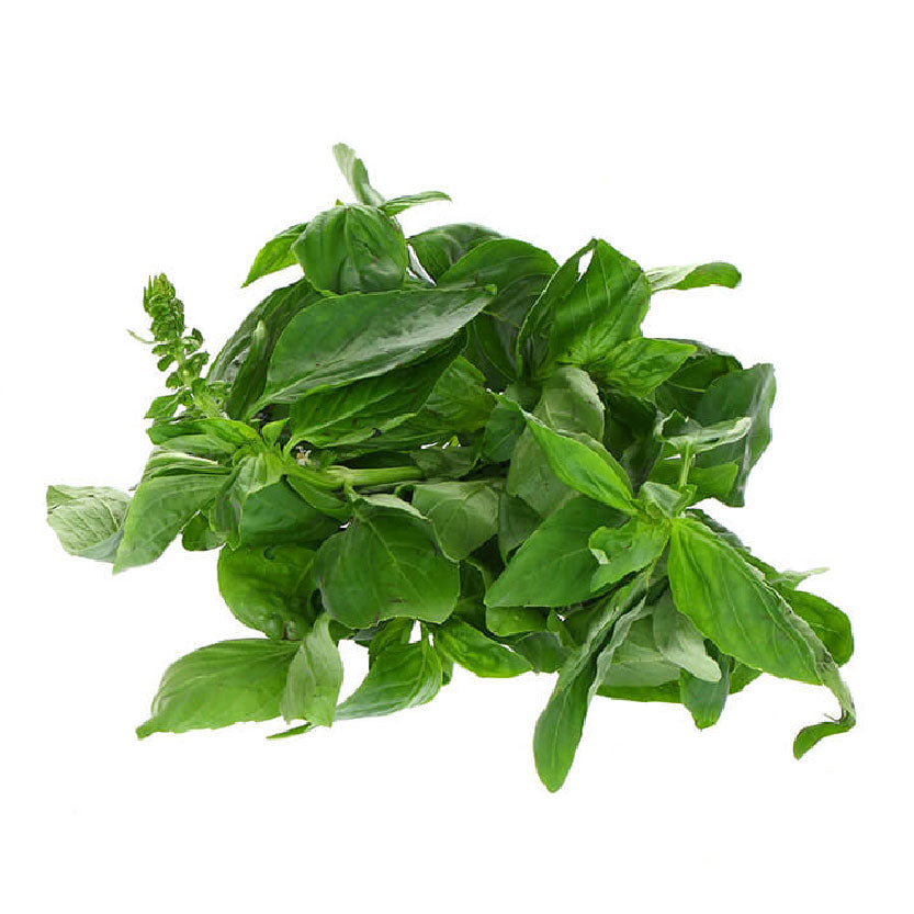 Yesha Basil 40g-50g