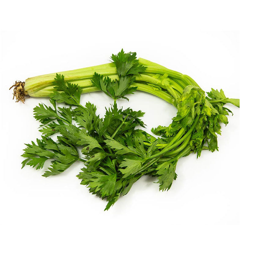 Global Fresh Baguio Celery 140g-150g