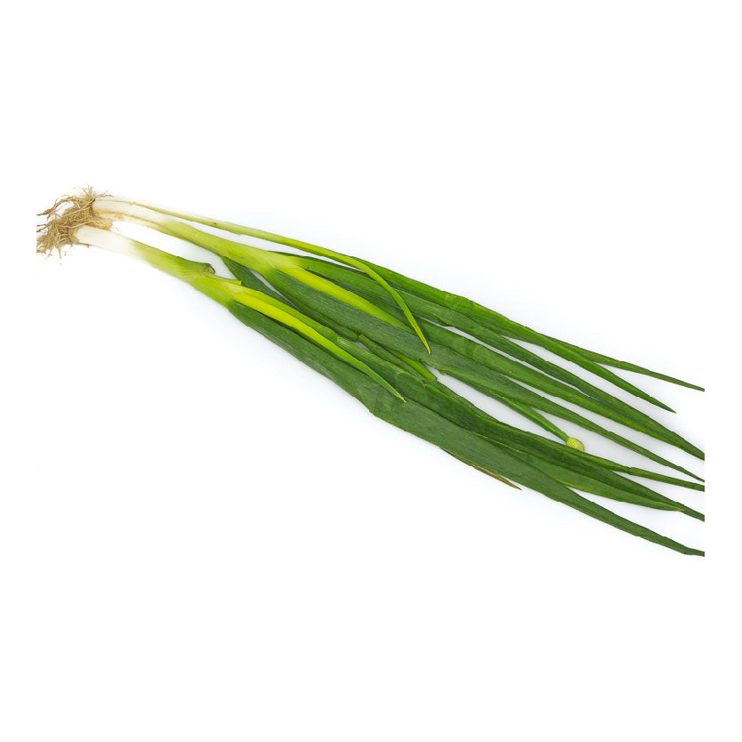 Global Fresh Baguio Onion Leeks 90g-100g