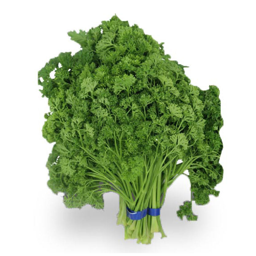 Global Fresh Baguio Parsley 45g-50g