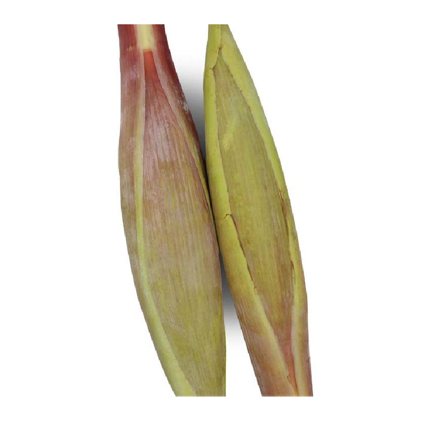 Global Fresh Banana Heart White 1kg