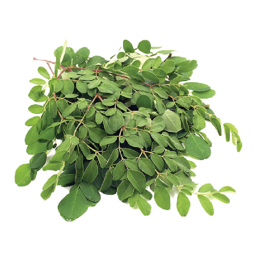 Global Fresh Malunggay Leaves 90g-100g