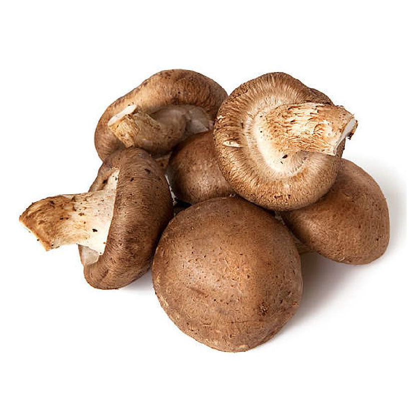Sydarb Mushroom Shitake 180g-200g