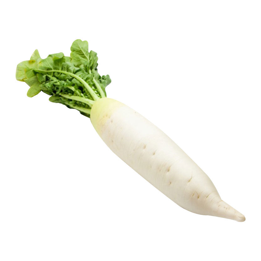 Sydarb White Raddish 480g-500g