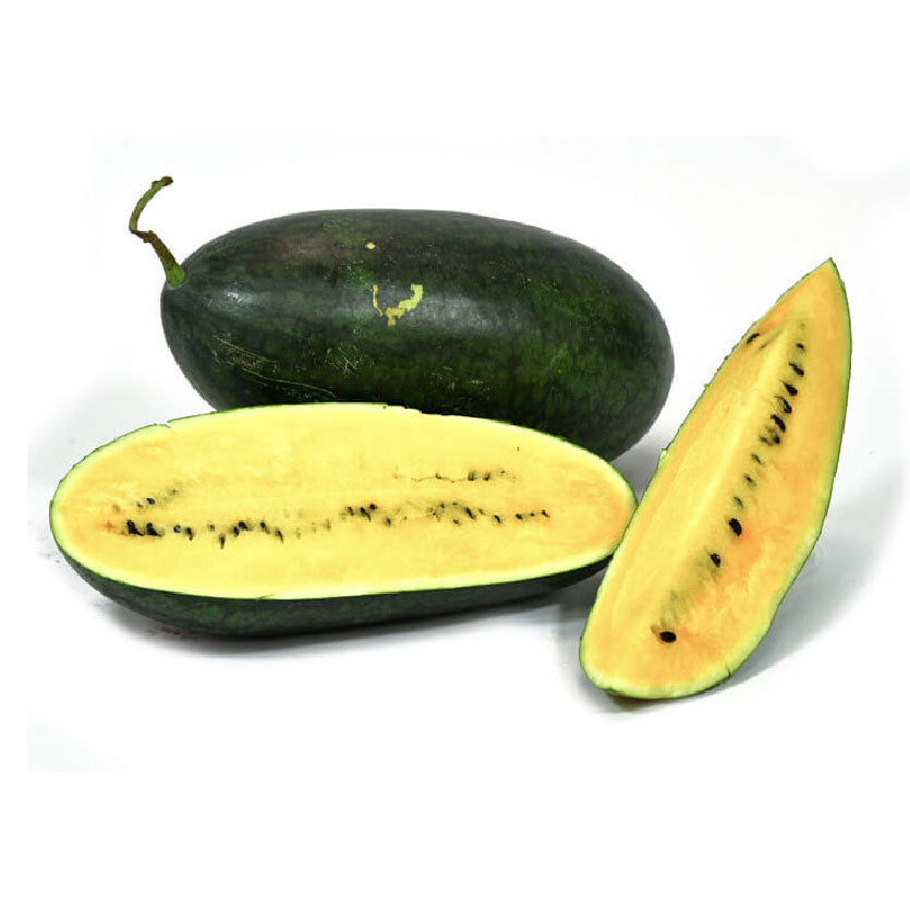 Dizon Watermelon Black Beauty 1.5kg-2.5kg