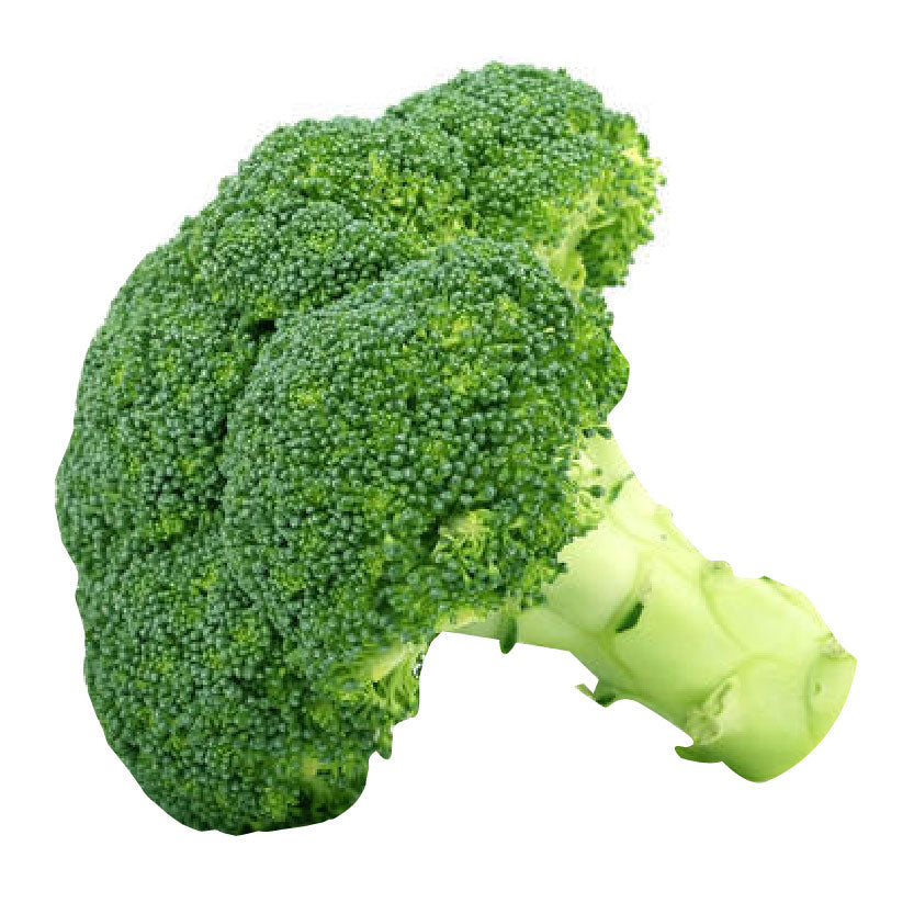 Sydarb Broccoli Imported 480g-500g