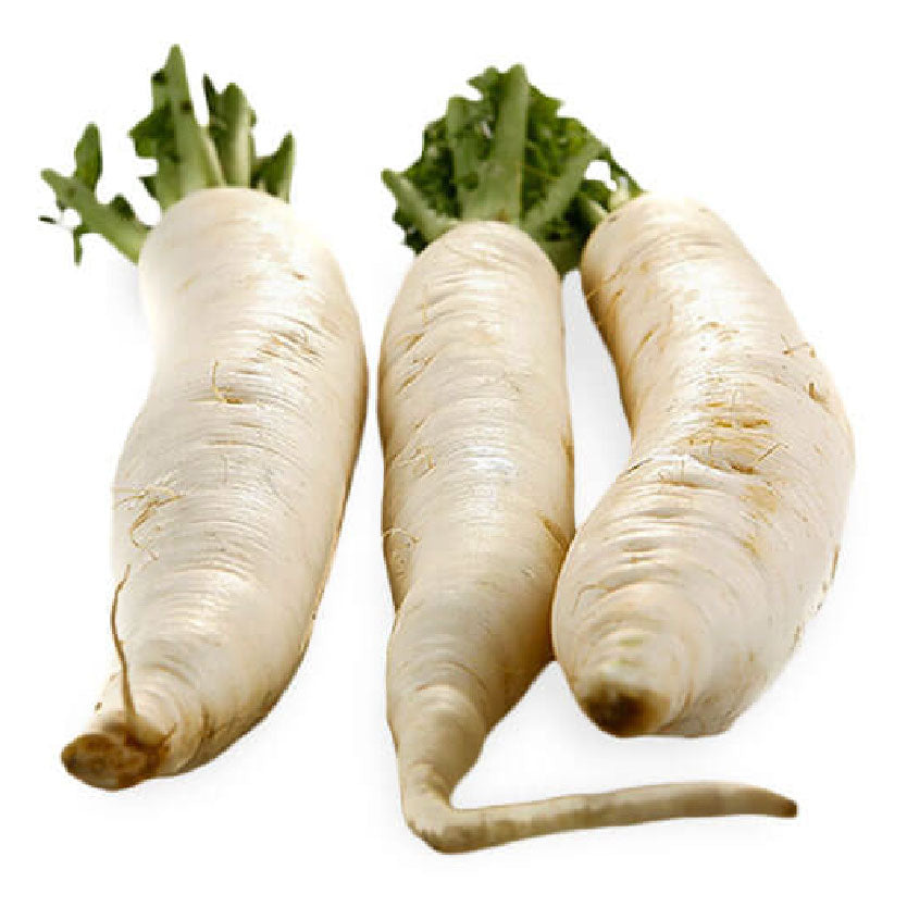 Global Fresh Raddish White 480g-500g