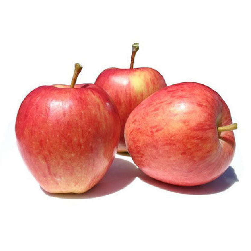 Dizon Gala Apple Medium Per Piece