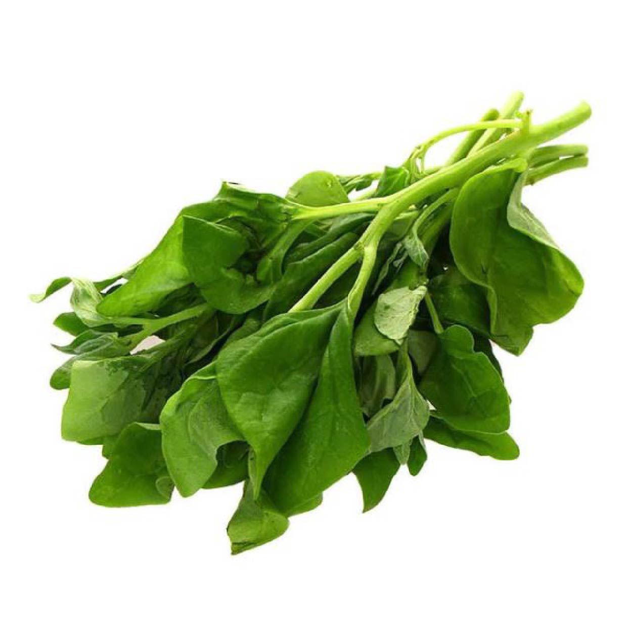 Yesha Organic Spinach Baguio 250g