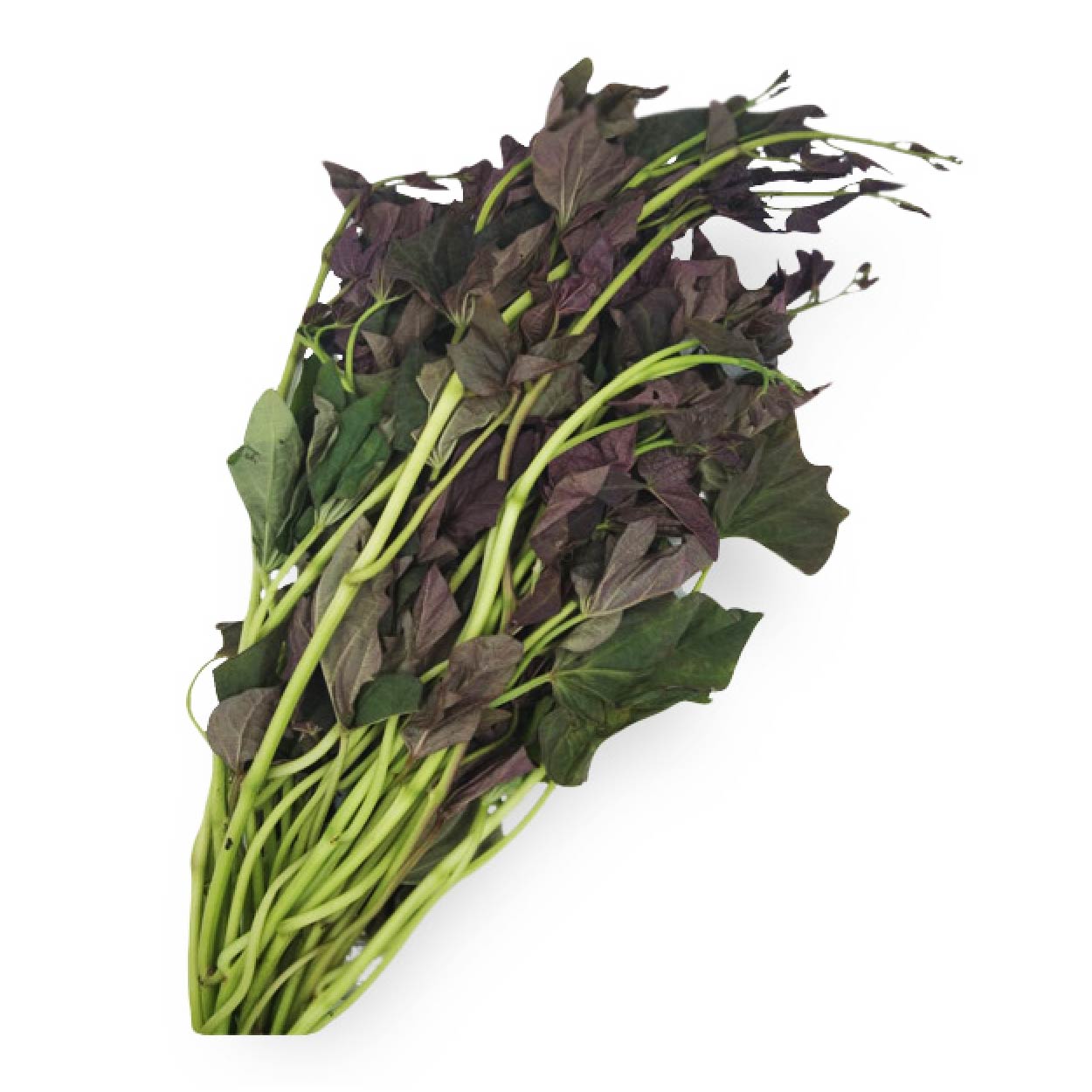 Sydarb Camote Tops Leaves 250g