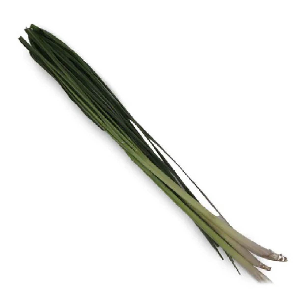 Global Fresh Lemon Grass 100g
