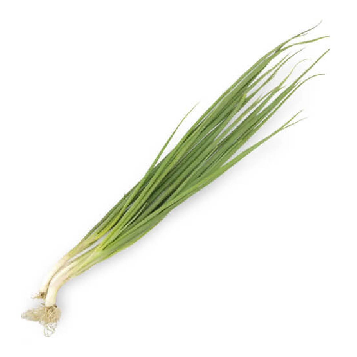 Global Fresh Onion Spring 100g