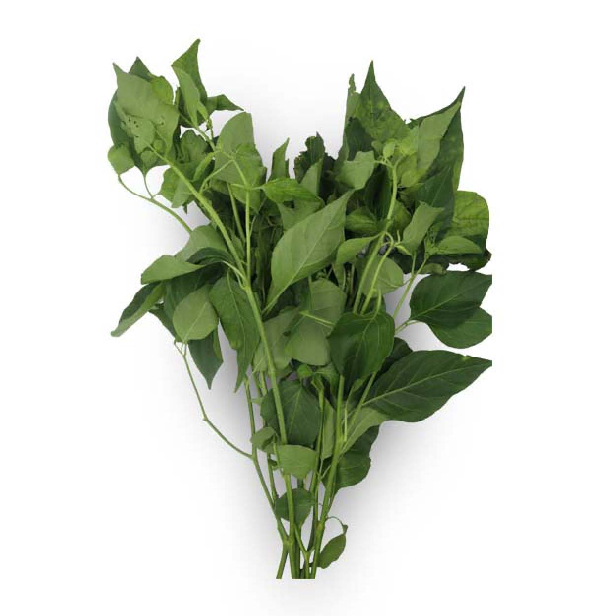 Global Fresh Sili Leaves 200g