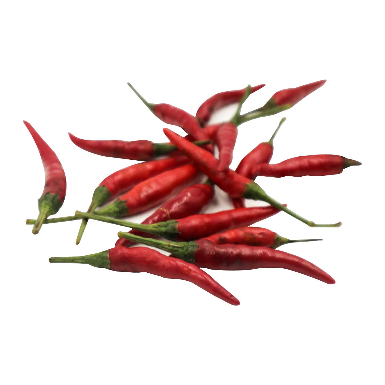 Global Fresh Taiwan Sili Labuyo 50g